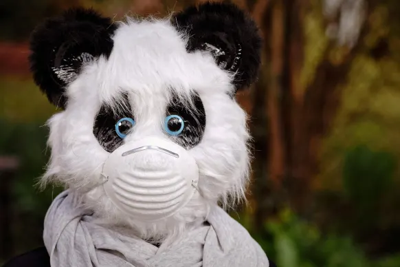 Rollers Casino Assistance